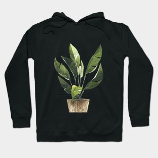 Watercolor Potted Plants Hoodie